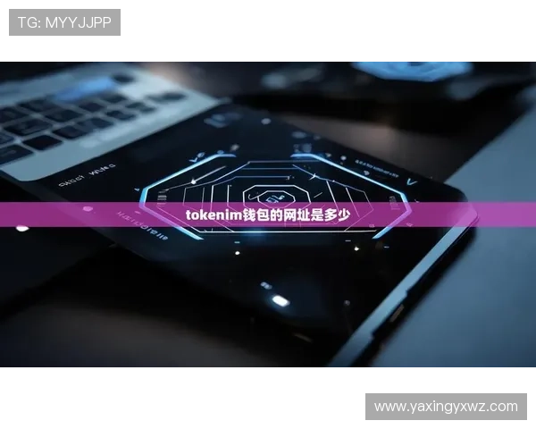 亚星app安卓下载官网最新版本全面介绍与下载安装指南