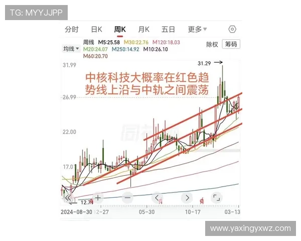 亚星官网 222最新版本更新内容及未来发展趋势全面分析
